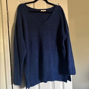 Z Supply Deep Blue V-Neck Sweater
